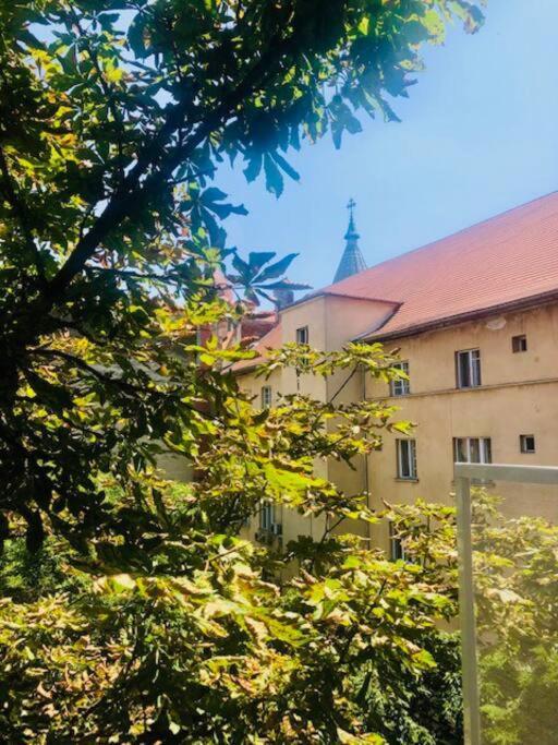 Joy City Stay Piatra Craiului 17 Timişoara Exterior foto
