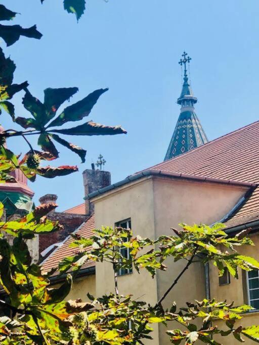Joy City Stay Piatra Craiului 17 Timişoara Exterior foto