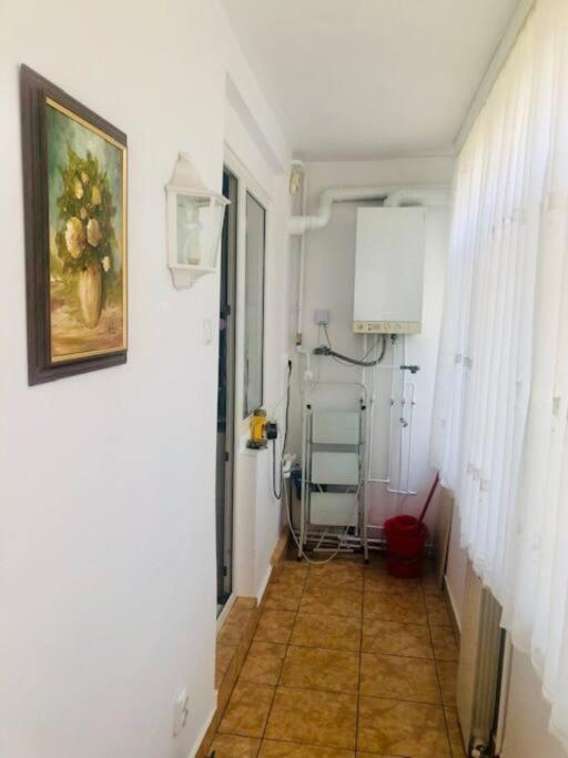 Joy City Stay Piatra Craiului 17 Timişoara Exterior foto